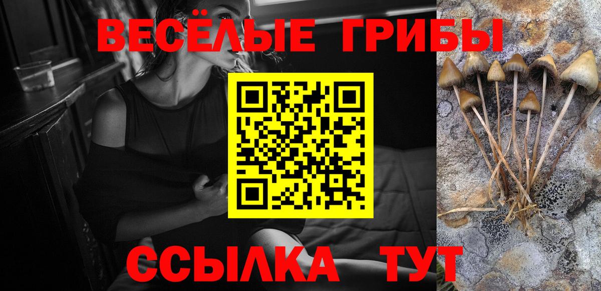 Галлюциногенные грибы Psilocybine cubensis  Галлюциногенные грибы мицелий  Вход с VPN  Трёхгорный 